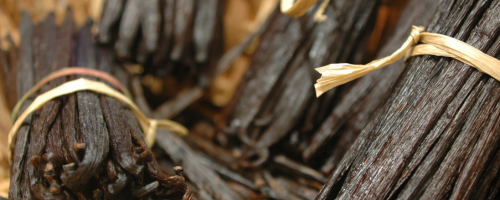 Nos astuces pour savoir si une gousse de vanille est bonne !