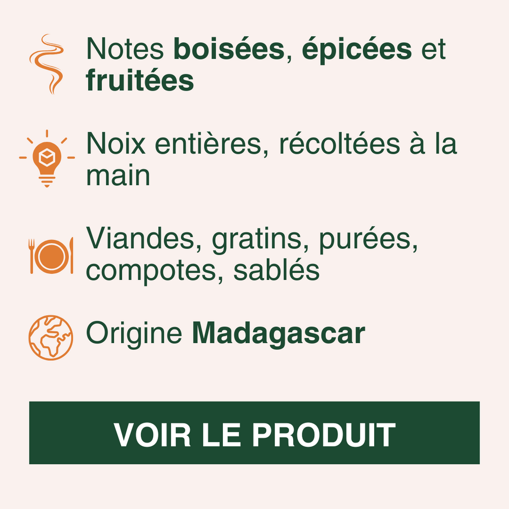 Découvrez nos noix de muscade entières pleines de saveurs